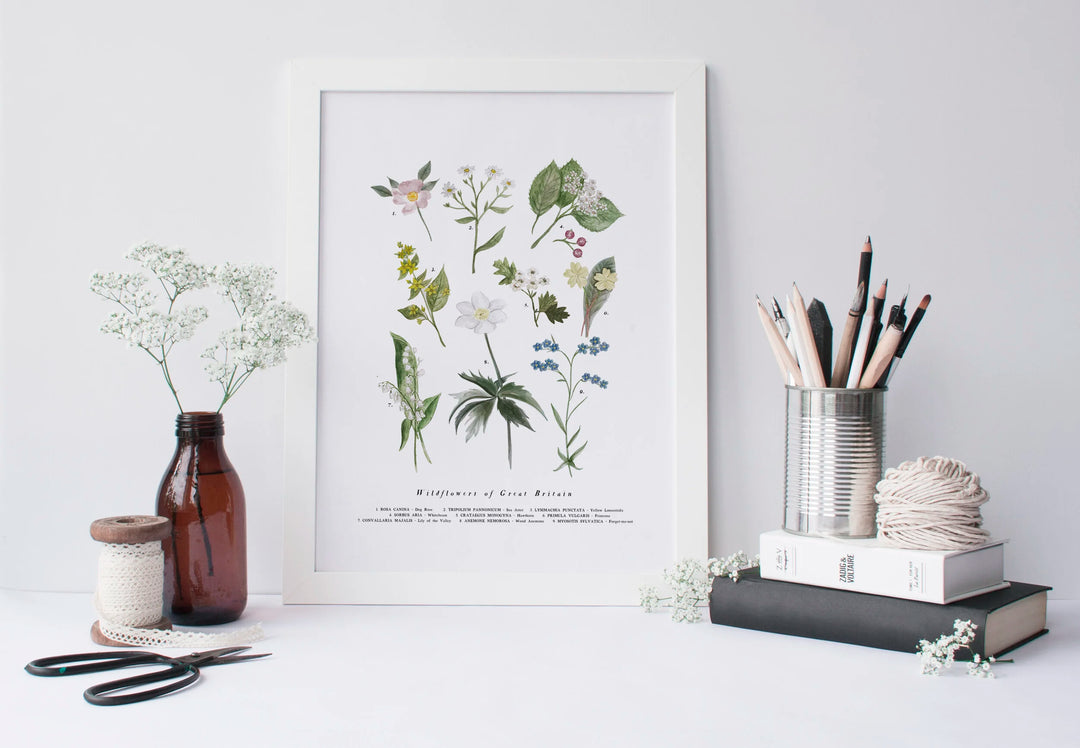 Limited Edition Signed  A4 Print run of 250, British Wildflowers Art Print