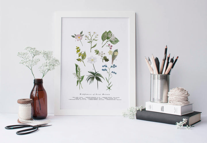 Limited Edition Signed  A4 Print run of 250, British Wildflowers Art Print