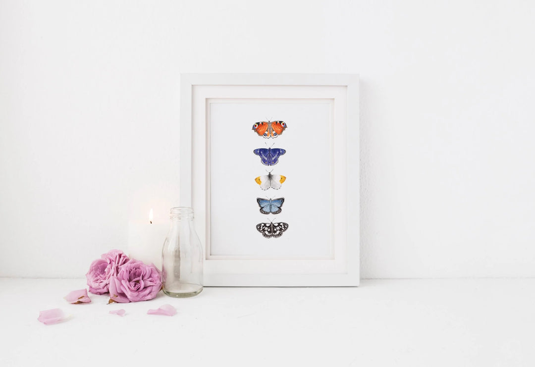 Butterfly Art Print