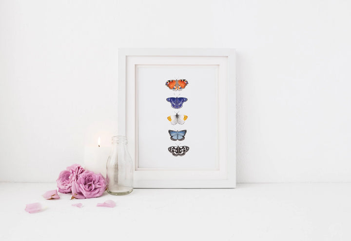 Butterfly Art Print