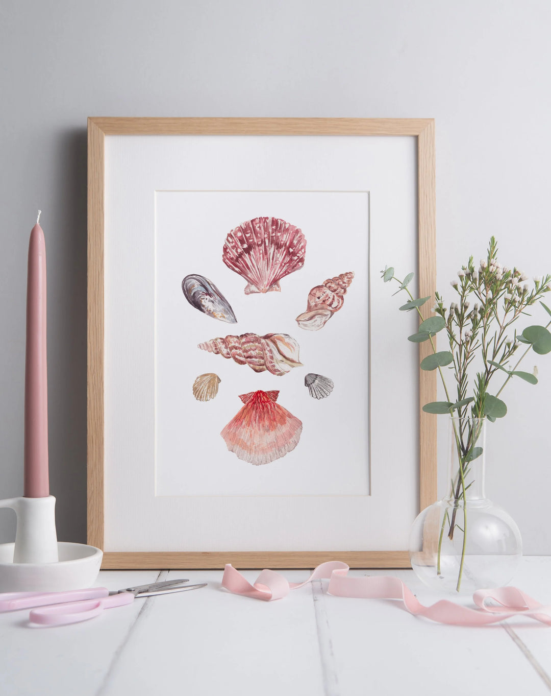 British Seashells Art Print