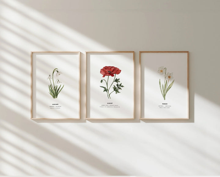 Set of 3 Birth Month Flower Prints