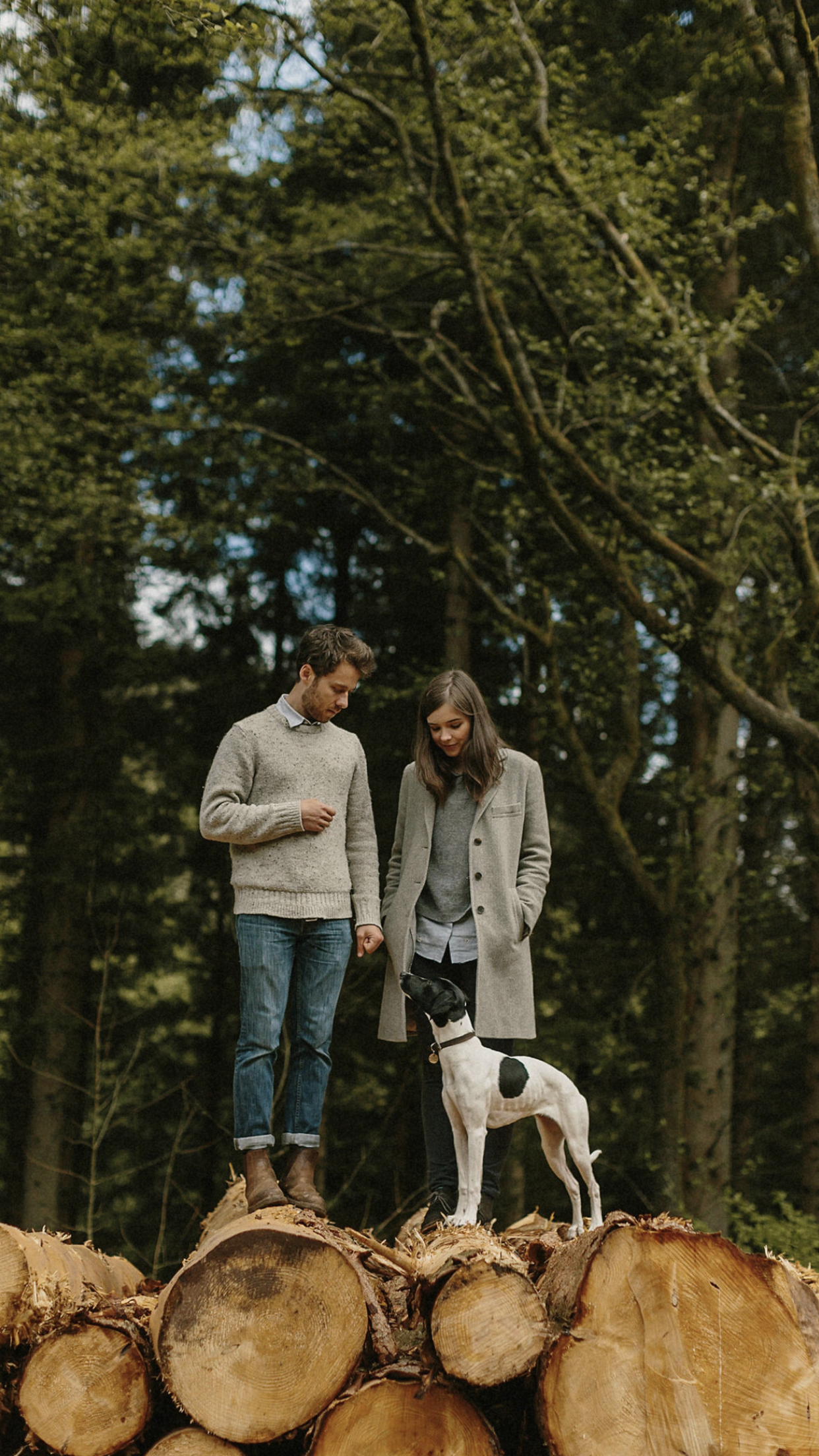 Two people standing on a pile of logs with a dog in a forest setting
