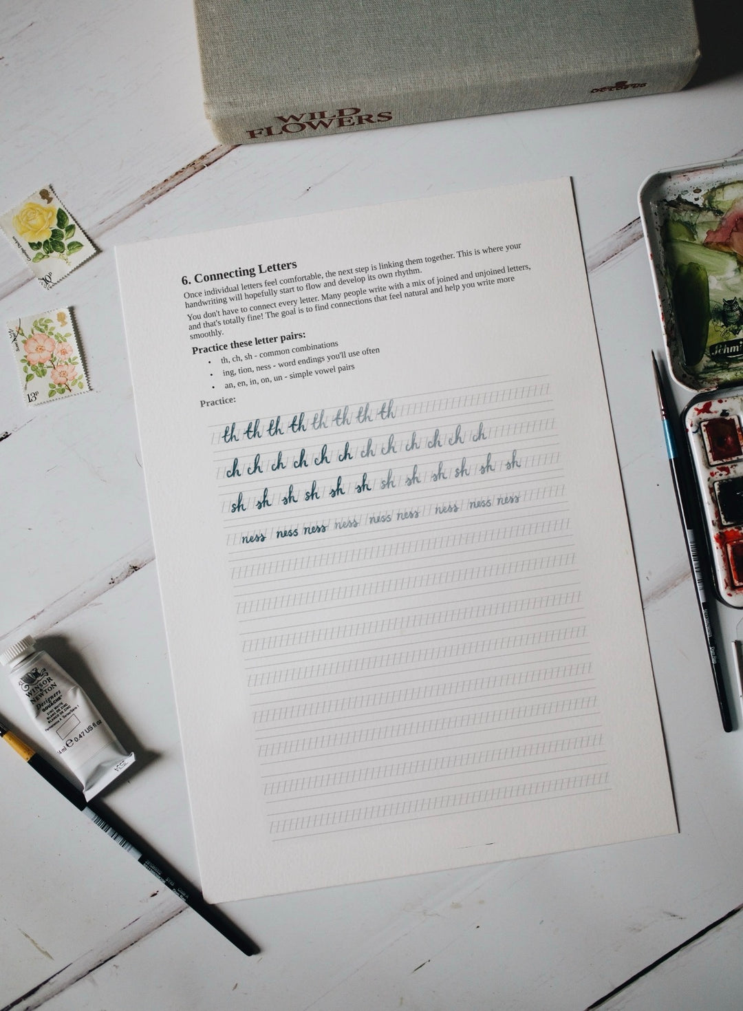 TSLP The Fading Art of Handwriting Printable Guide