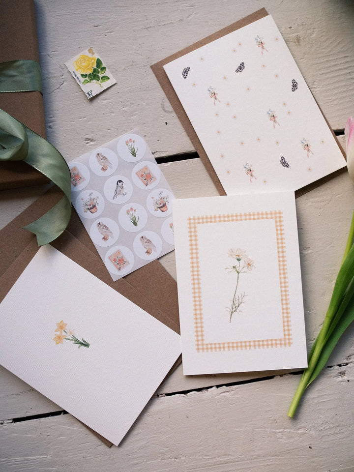 Spring Picnic - Set of 3 hand-wrapped cards with stickers