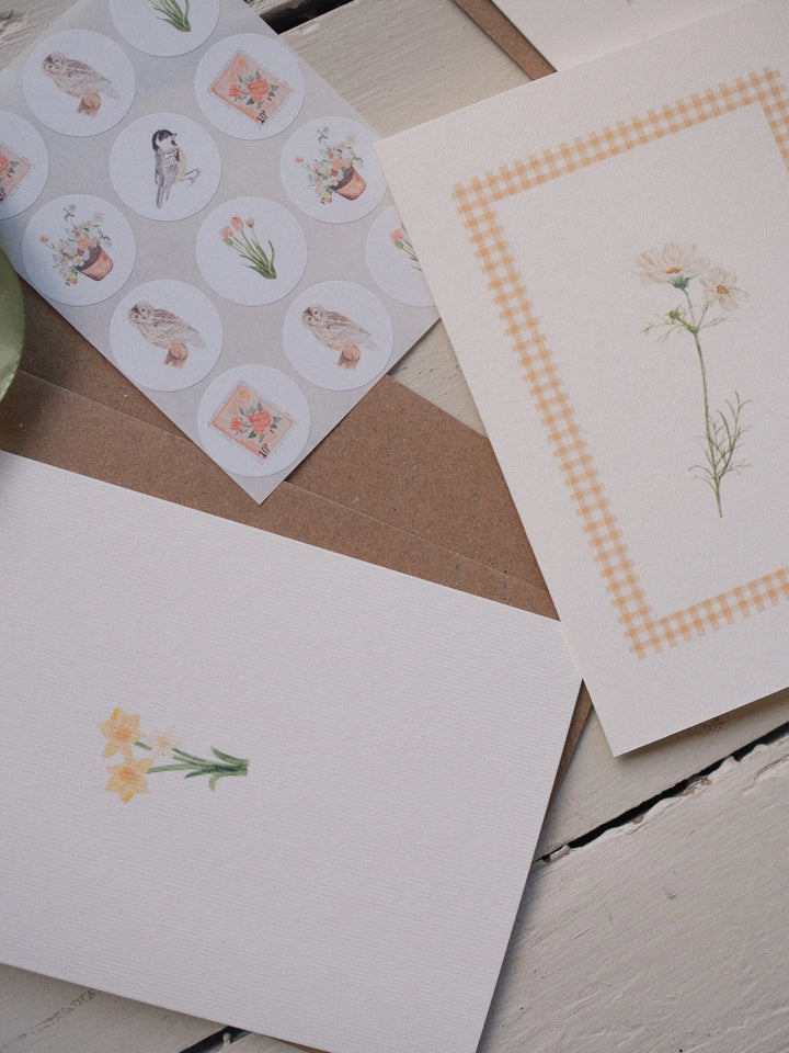 Spring Picnic - Set of 3 hand-wrapped cards with stickers