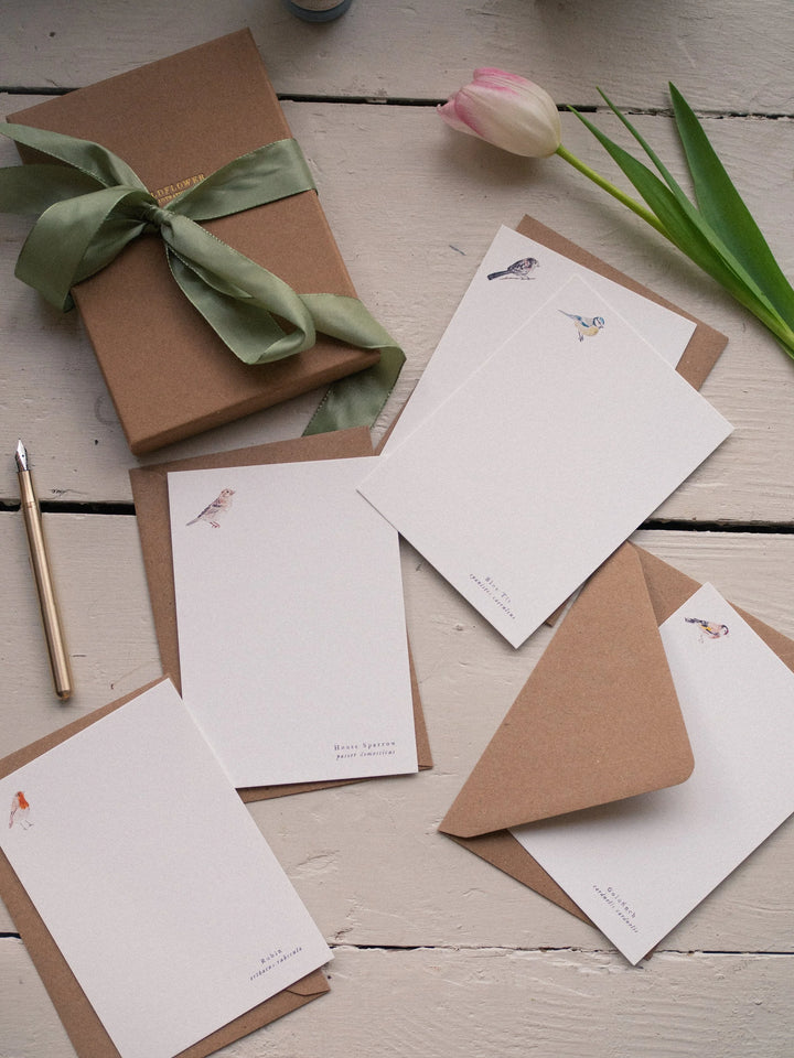 Bird Notecards