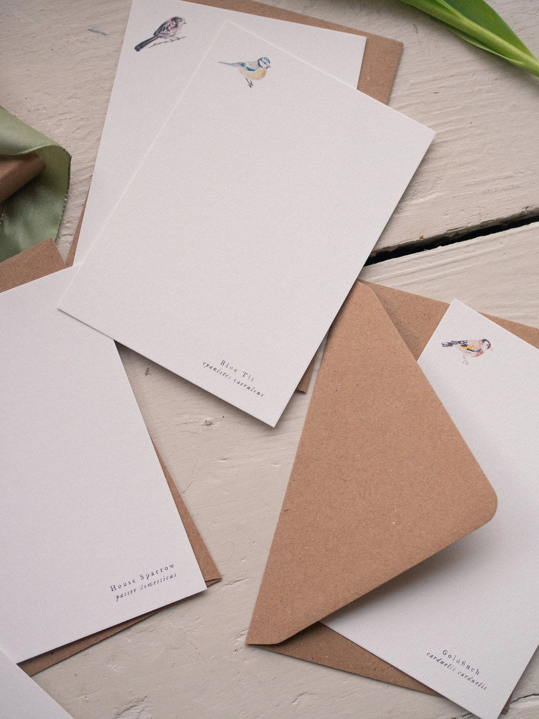 Bird Notecards