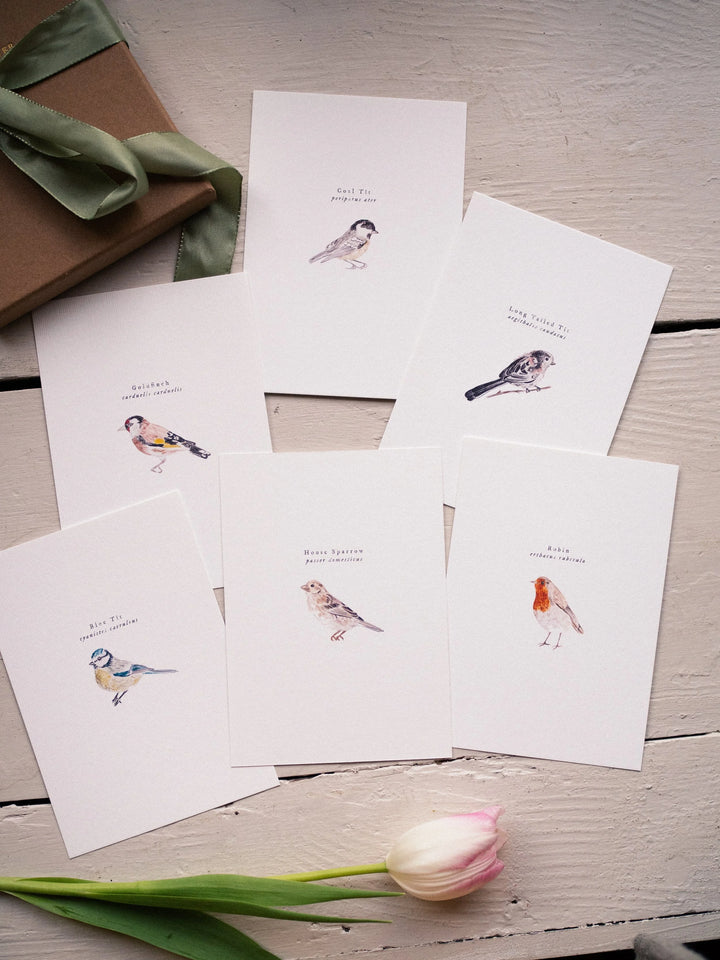Bird Postcards