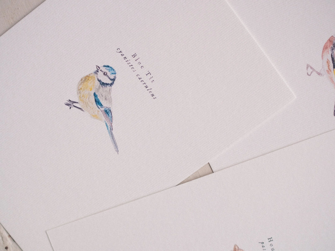 Bird Postcards