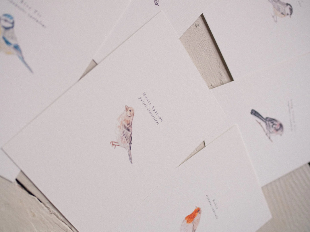 Bird Postcards