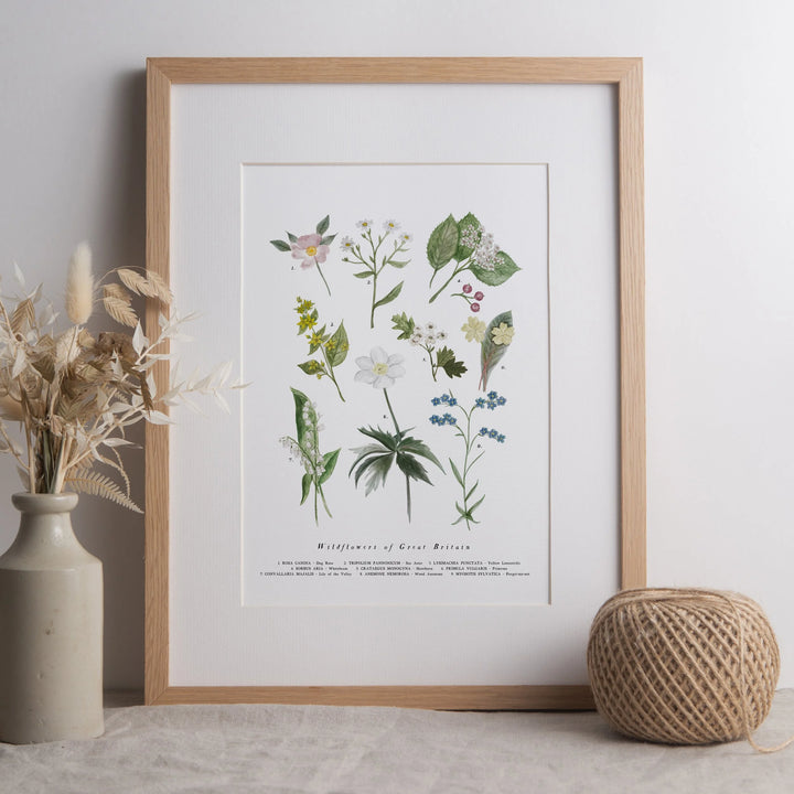 Limited Edition Signed  A4 Print run of 250, British Wildflowers Art Print