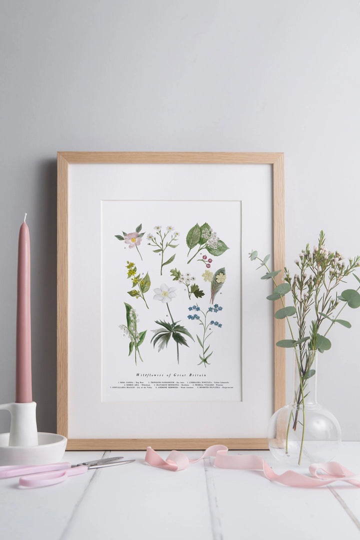 Limited Edition Signed  A4 Print run of 250, British Wildflowers Art Print