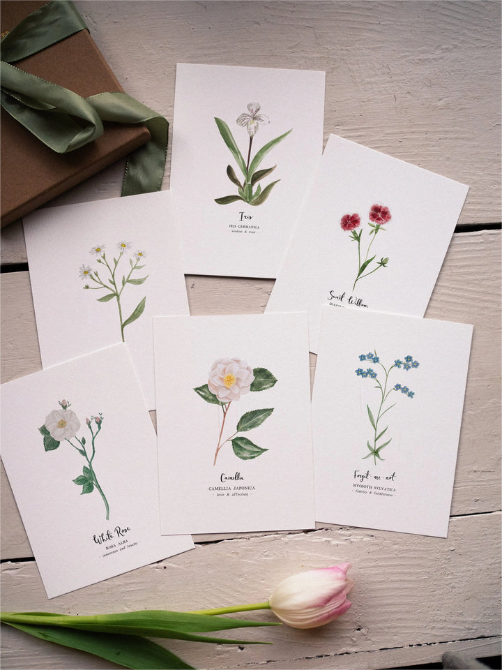 Language of Flowers Notecards